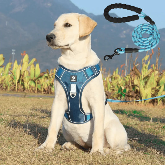🐾 Pawzful™ Anti-Pull Dog Harness + Free Leash